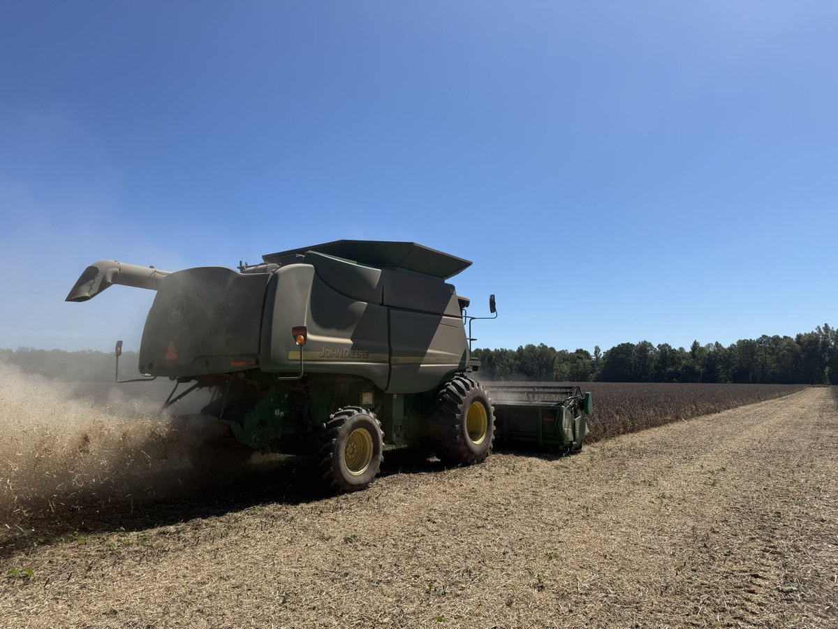 AU_PrecisionAg's tweet photo. Soybean harvest underway in our #precisionag #plantertech studies in Central Alabama today. Thanks to Alabama Soybean Producers for funding this research and to the research station crew for all their help!! #harvest26 @AuburnAg @AlfaFarmers https://t.co/FCEQtOE5Wn