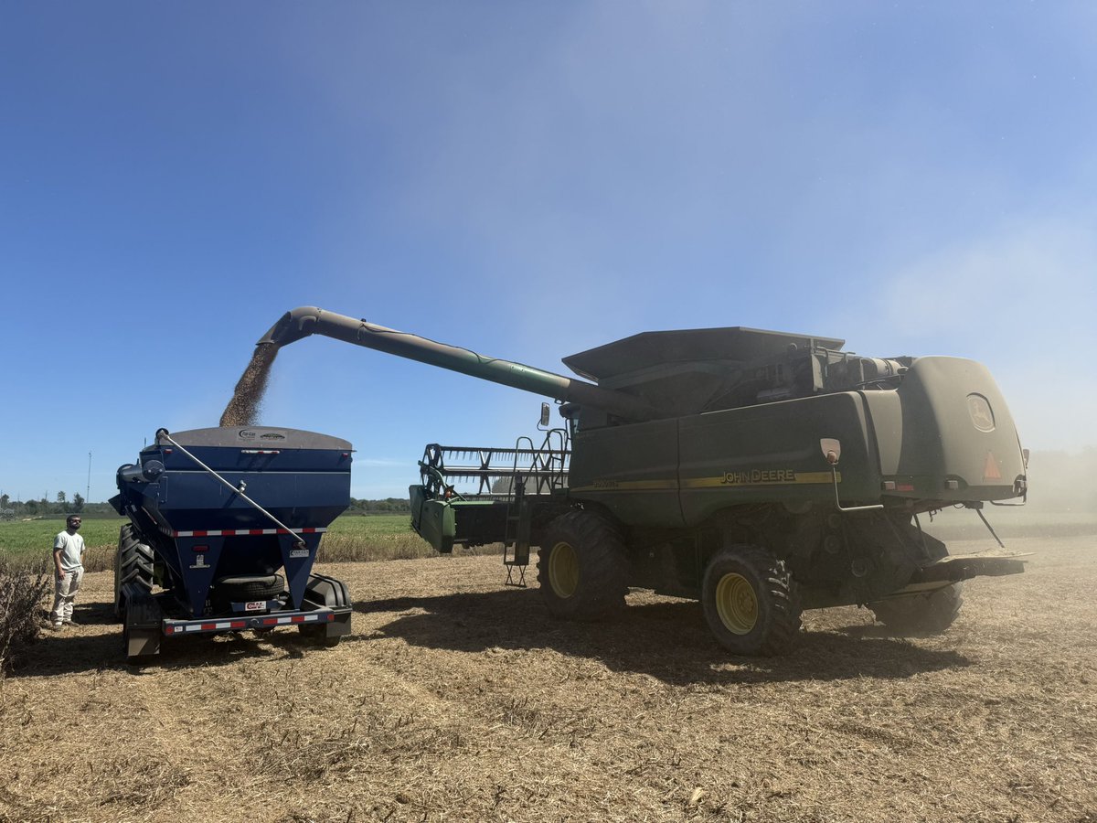 AU_PrecisionAg's tweet photo. Soybean harvest underway in our #precisionag #plantertech studies in Central Alabama today. Thanks to Alabama Soybean Producers for funding this research and to the research station crew for all their help!! #harvest26 @AuburnAg @AlfaFarmers https://t.co/FCEQtOE5Wn