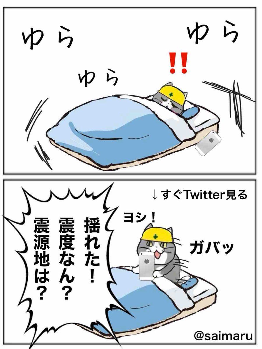 himawari2727274's tweet photo. 【地震あるある】

地震来るとすぐTwitter見る

#現場猫 https://t.co/2Wj6kDqQzv