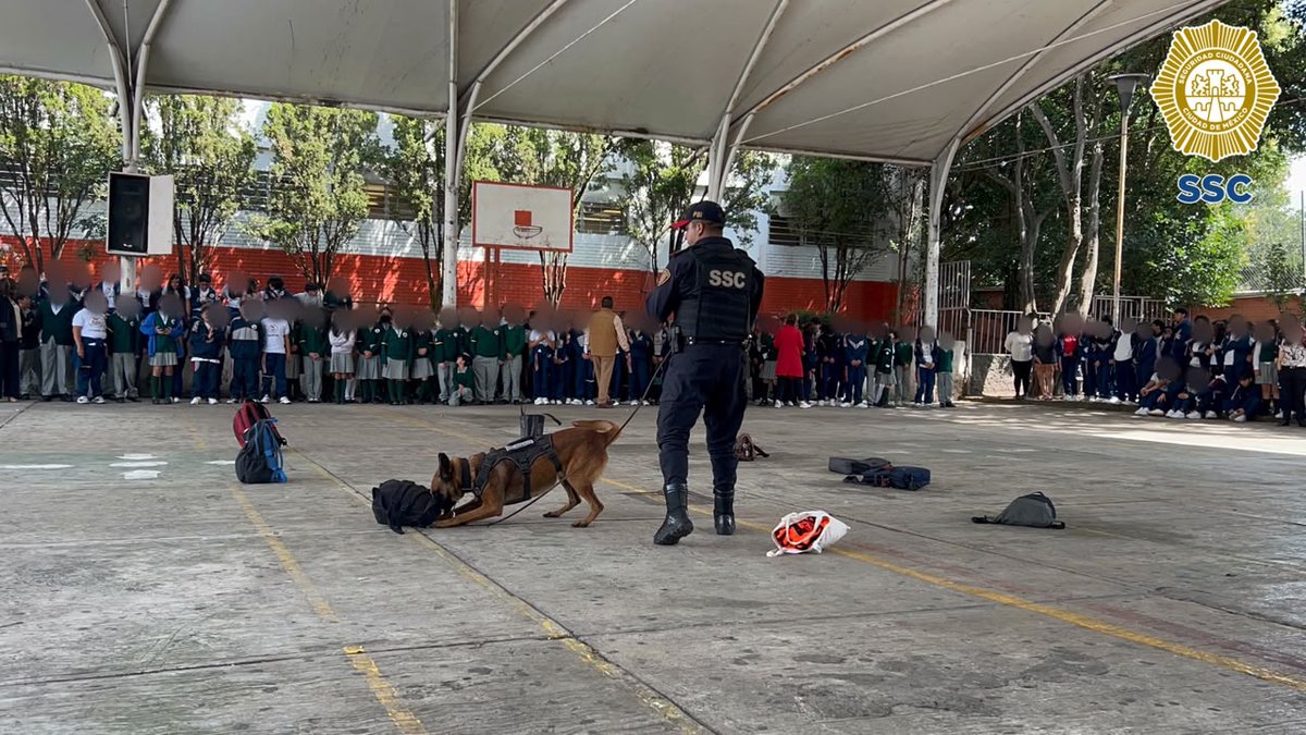 PBI_SSC's tweet photo. 🎉🏫 En el marco del 50 Aniversario de la Secundaria Diurna N.° 195 #Tlamachihuapan, en la @AlcaldiaTlalpan, la #PBI de la @SSC_CDMX participó en una #FeriaDeSeguridad con actividades y juegos a través de su #StandInformativo. https://t.co/CNSnt7m1O6