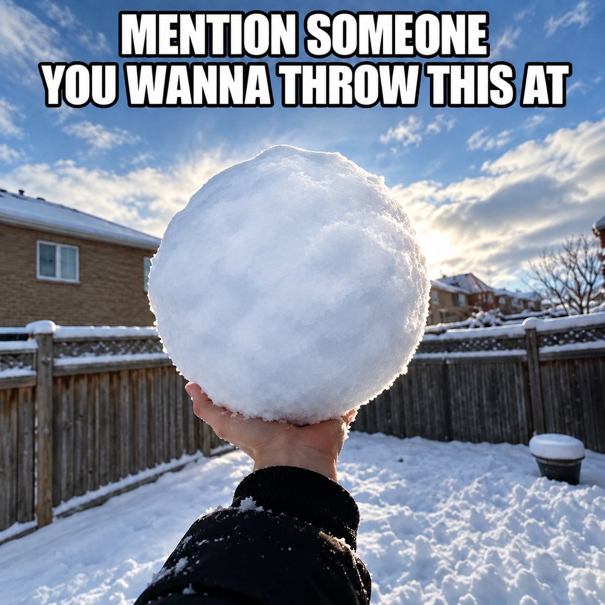 snowballfam's tweet photo. $SNOWBALL https://t.co/P7evkddpbH