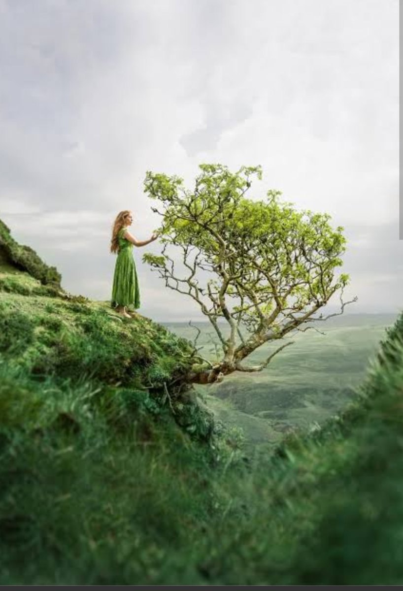 _tetudona's tweet photo. Damp earth waits. Morning makes room for what night carried, old as the hills. 🌱 https://t.co/kQewk0Ypjd