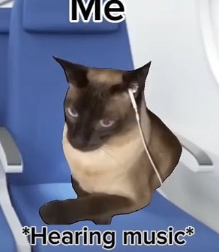 Sirbendboy's tweet photo. *Hearing music* https://t.co/VeHTDjNkTN