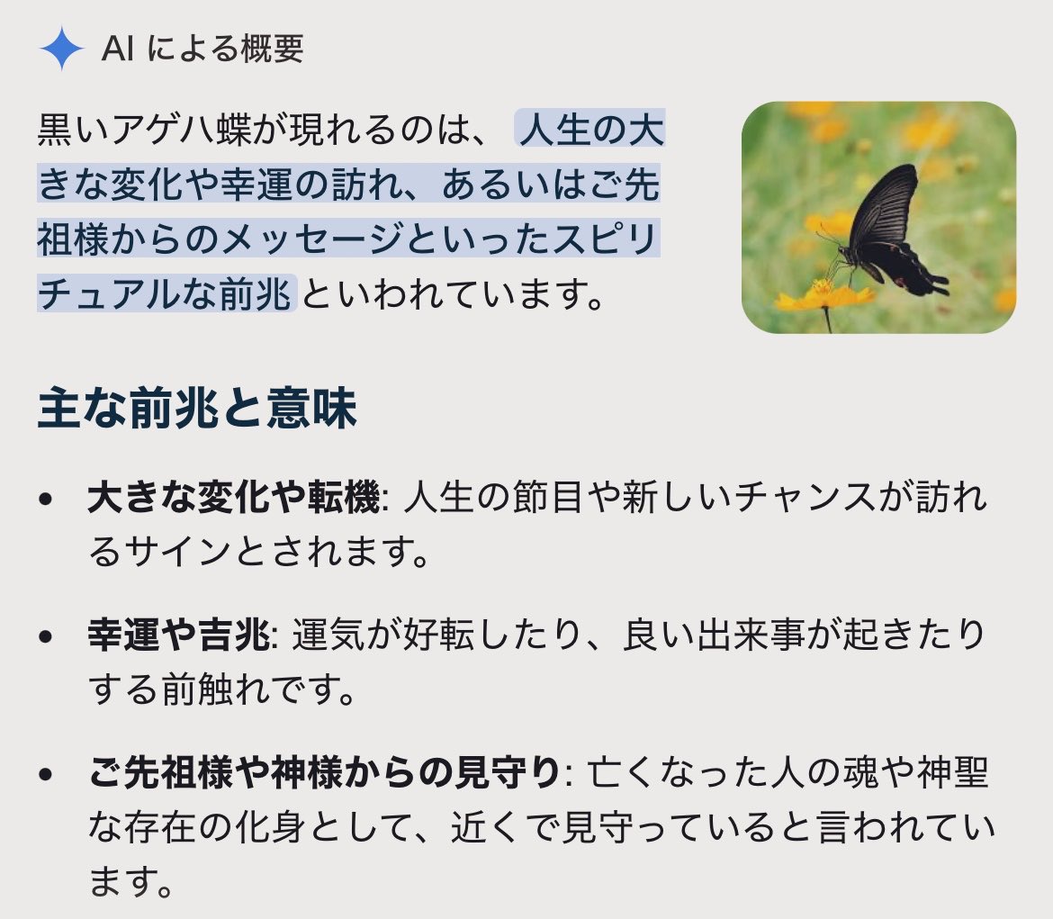 MONOCHROME_rara's tweet photo. DISH//のステージに向かってアゲハ蝶が飛んでたっていうレポ、黒アゲハというレポを見て調べたら…

おじい様が見に来てたとしか思えん🥲
素敵なプレゼントになったね
#DISHꤷꤷ #沈丁花 #ACMF2026 https://t.co/fUBYq7FwbC