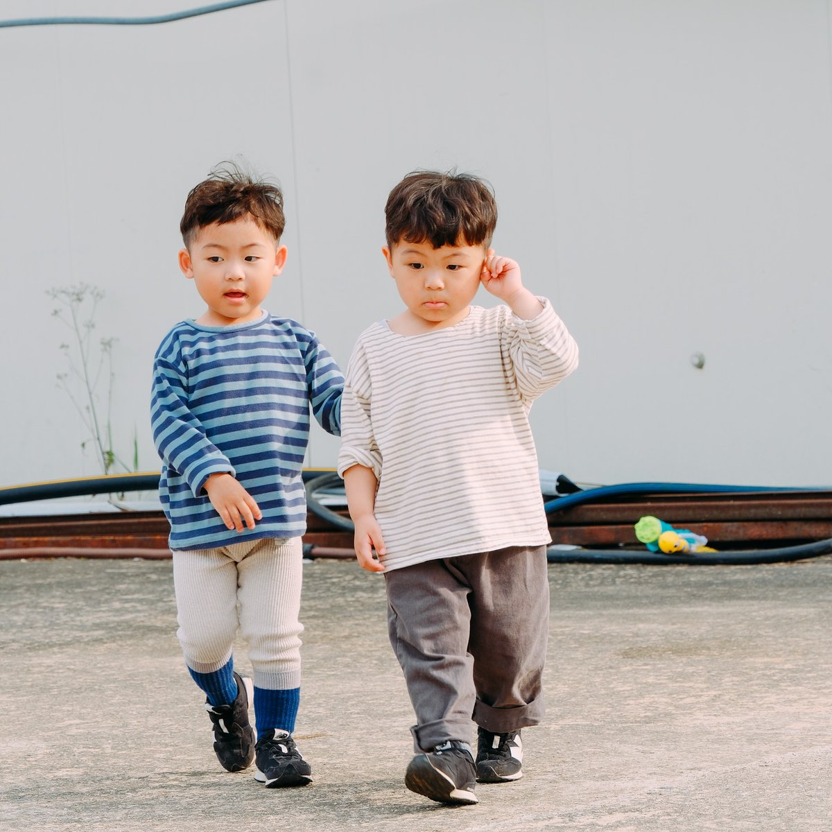 LaciWhittynt's tweet photo. The little ones are gradually growing into big brothers 😊 
Let’s keep living happily and having fun like this! https://t.co/NVFWMl26mD
