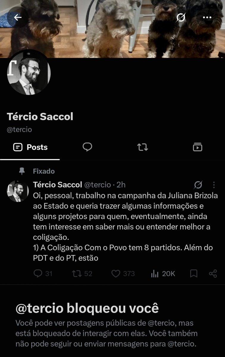 everrto's tweet photo. critiquei a pior campanha da historia e tomei block 

parabéns ao PDT por eleger Zucco 🥀 https://t.co/nR3xApWbQc