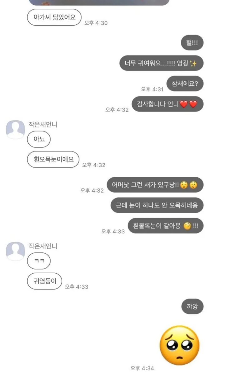 instiz's tweet photo. 평소엔 지적인 새언니가 아가씨에게 보내는 카톡 https://t.co/bTp18xLib8 https://t.co/zQigPxwfuV