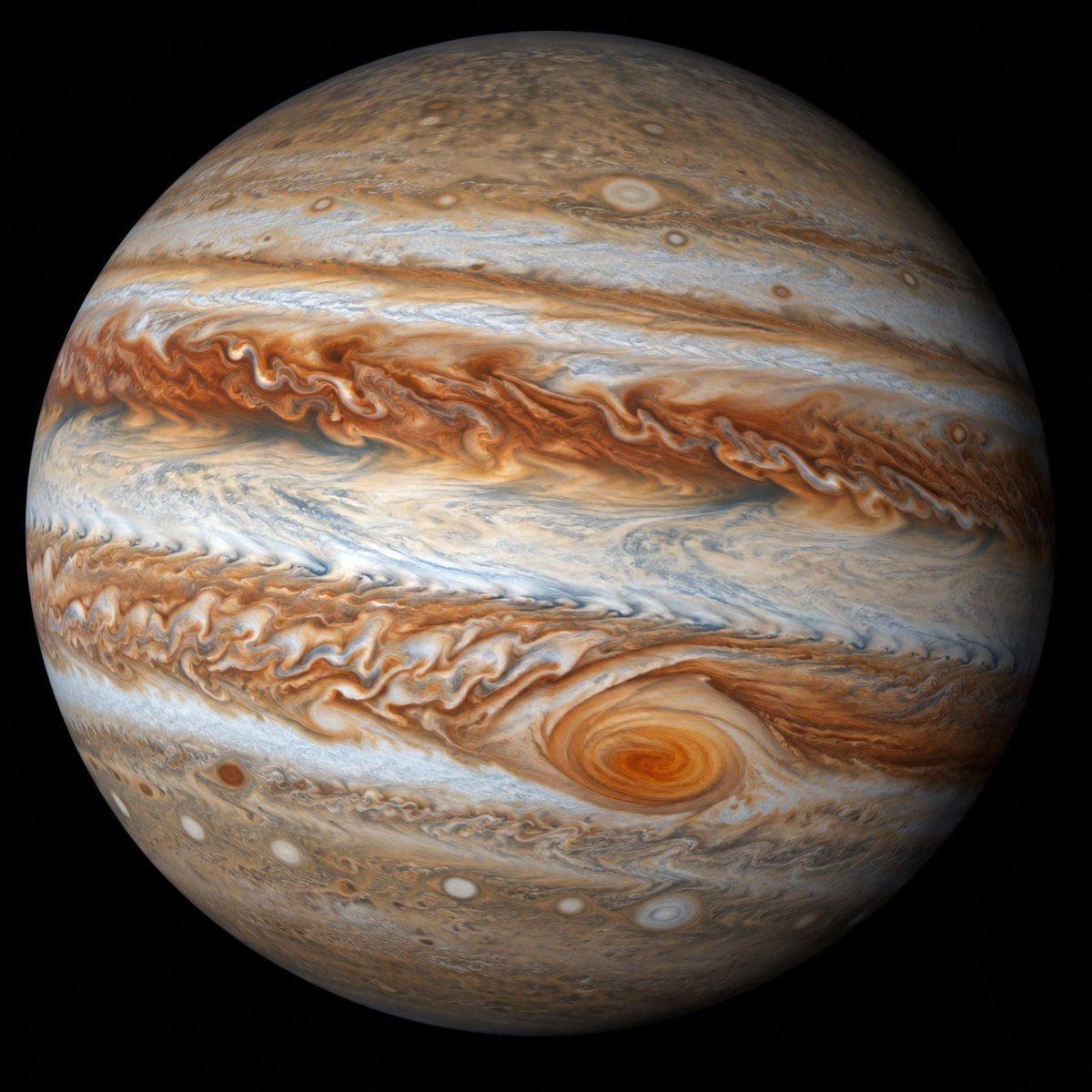moondailys's tweet photo. Jupiter https://t.co/5NVs3Lw1Gg