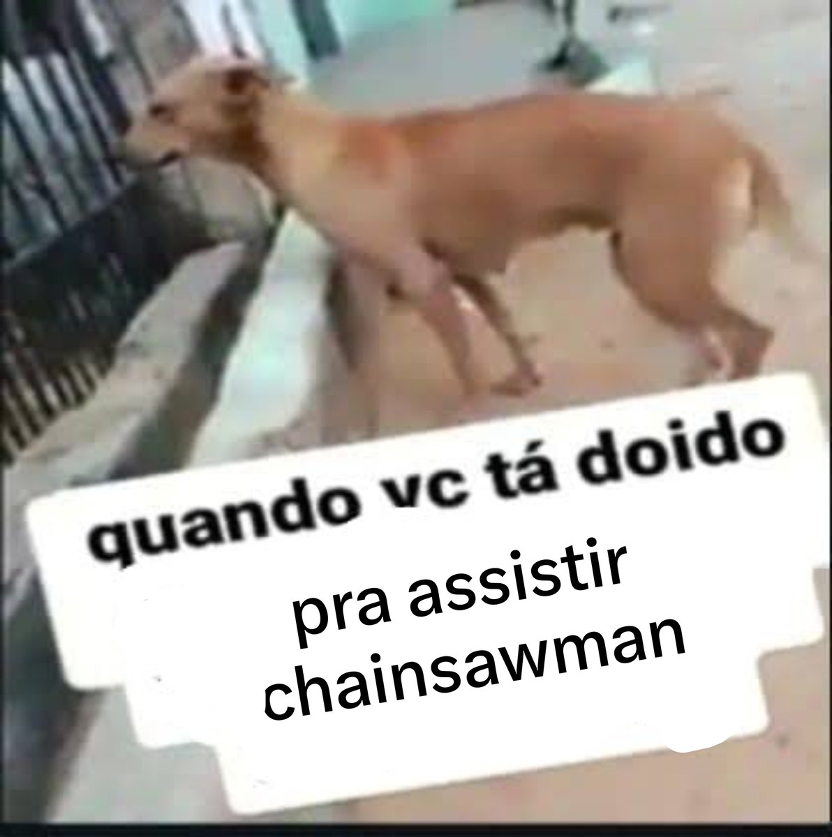 acervocsm's tweet photo. #chainsawman https://t.co/TS3SEJtmdc