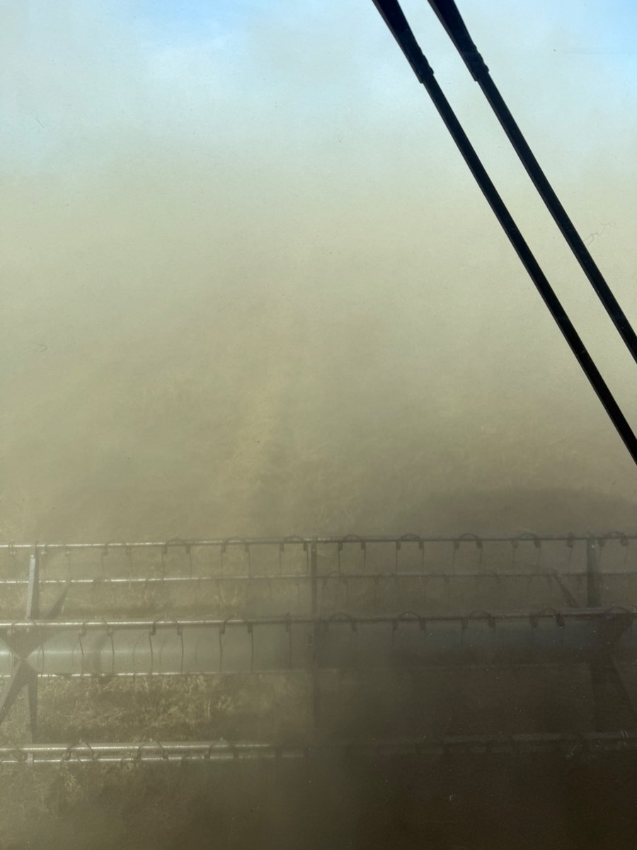 craig_dyck's tweet photo. Hate to be fussy when you have a wind combining Alf seed but could blow a bit more from the west today! https://t.co/1XwPaf1rhK