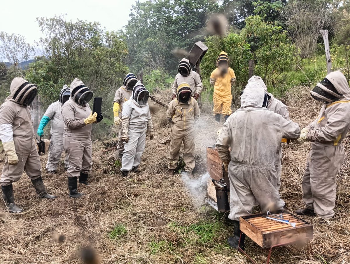 CAMHUILA's tweet photo. #NoticiasCAM 🗣️💚| Apicultores del Huila fortalecen sus conocimientos mientras conservan la biodiversidad 👉🏻 https://t.co/40J52HAUOO

Un total de 2️⃣7️⃣ apicultores 🐝🍯de #Neiva, #Rivera participan en un proceso de certificación, resultado de la alianza 🫱🏻‍🫲🏼 entre la CAM y el SENA https://t.co/XA0HHmY2eK