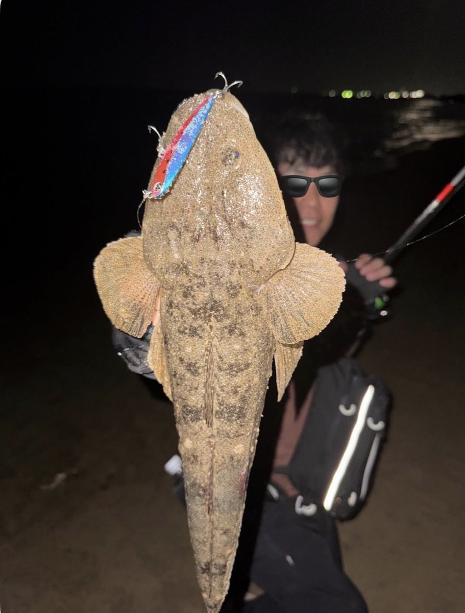su_san81's tweet photo. メタルフラッターでマゴチをキャッチ。
元気にリリース。その後、再びヒット。
「またいい魚がきたな」と思いながら寄せてみると…
まさかの、さっきリリースしたマゴチ。
こんな出来事も釣りの面白さです��🎣

https://t.co/FbgifMvHlQ https://t.co/RVkvdz1mjs