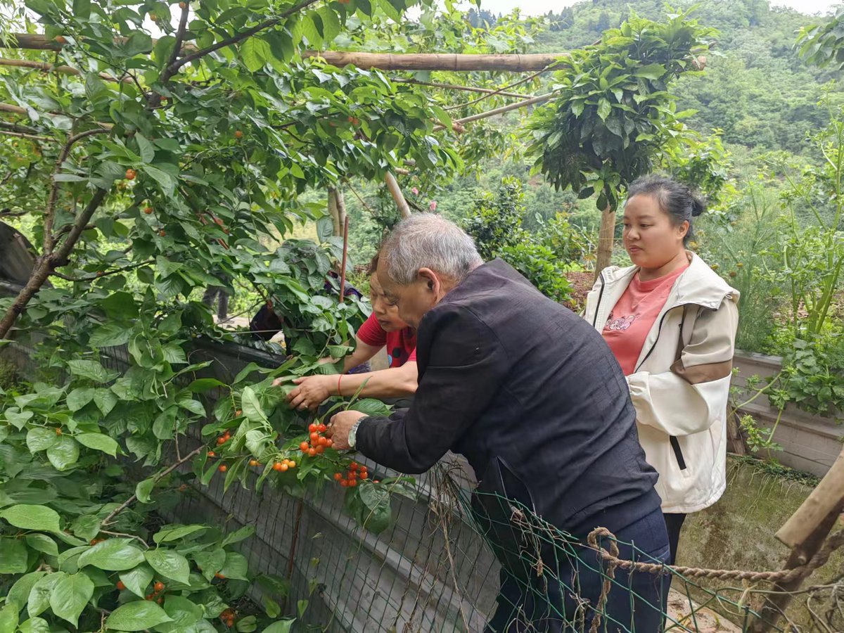 ganaganagaja's tweet photo. Today, in Zhuozi, I tried a unique experience: touch the fence, it's so cool! https://t.co/Tad1ciYUko