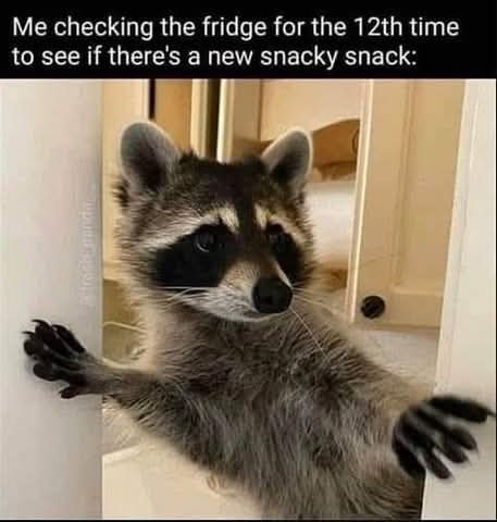 sadisticnerdybf's tweet photo. It might have appeared in the 12 seconds between my last check! https://t.co/yLaQlHpl6v