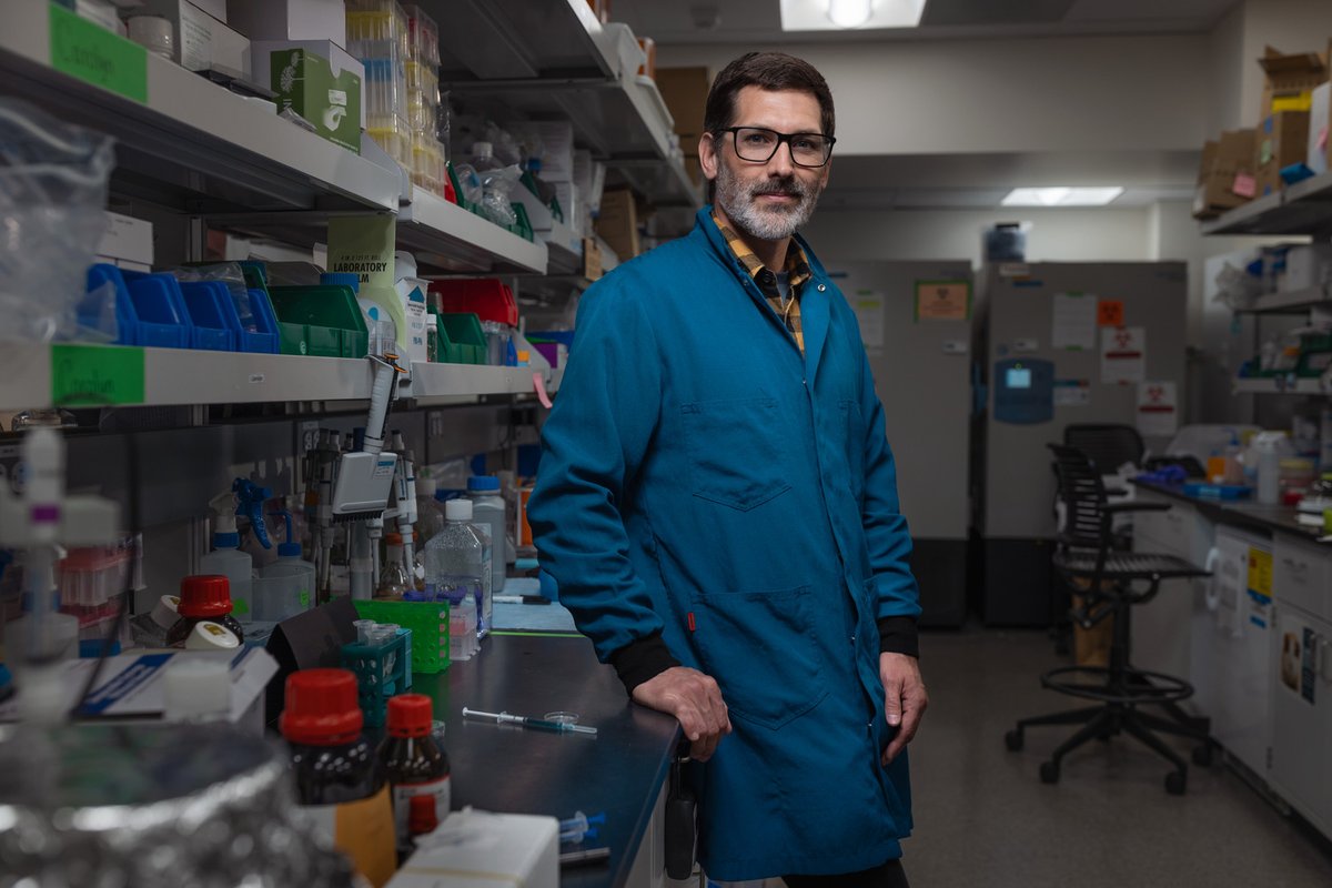 StanfordUChem's tweet photo. 🧪 Could bacteria-killing polymers offer a new class of antibiotics? Stanford researchers, with the assistance of Prof. Cegelski, Lecturer Jenny Liu  &amp; Chem PhD students, used AI to screen 1.7M polymers, identifying promising antimicrobial candidates. 🔗 https://t.co/Z1riUG1E5z https://t.co/Akuz5mbaeI