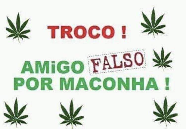 canabisbrasil's tweet photo. https://t.co/s0esg8L9hG