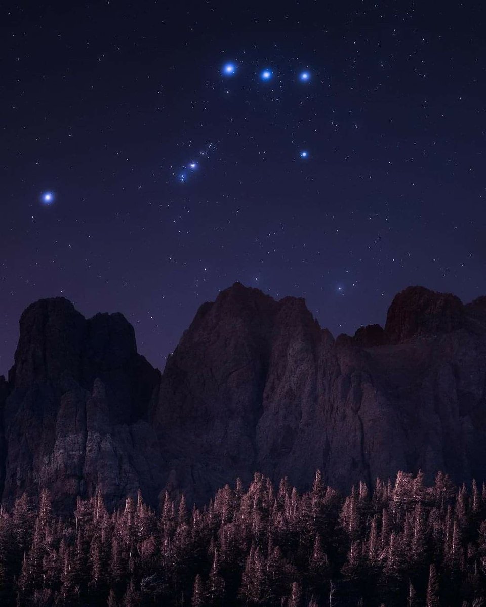 forallcurious's tweet photo. Orion constellation✨ https://t.co/r2XpEDt7D7