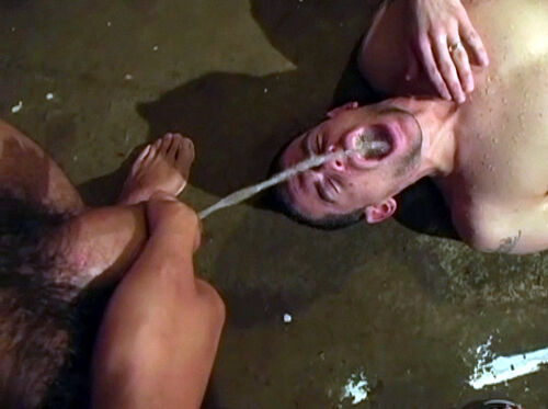 gayslaveacademy tweet picture