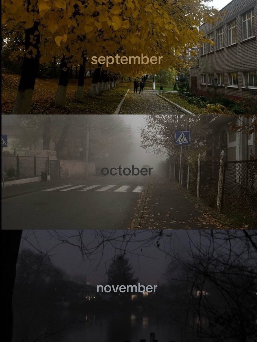 nikonschi's tweet photo. autumn🍂 https://t.co/IaCi8B3DXP