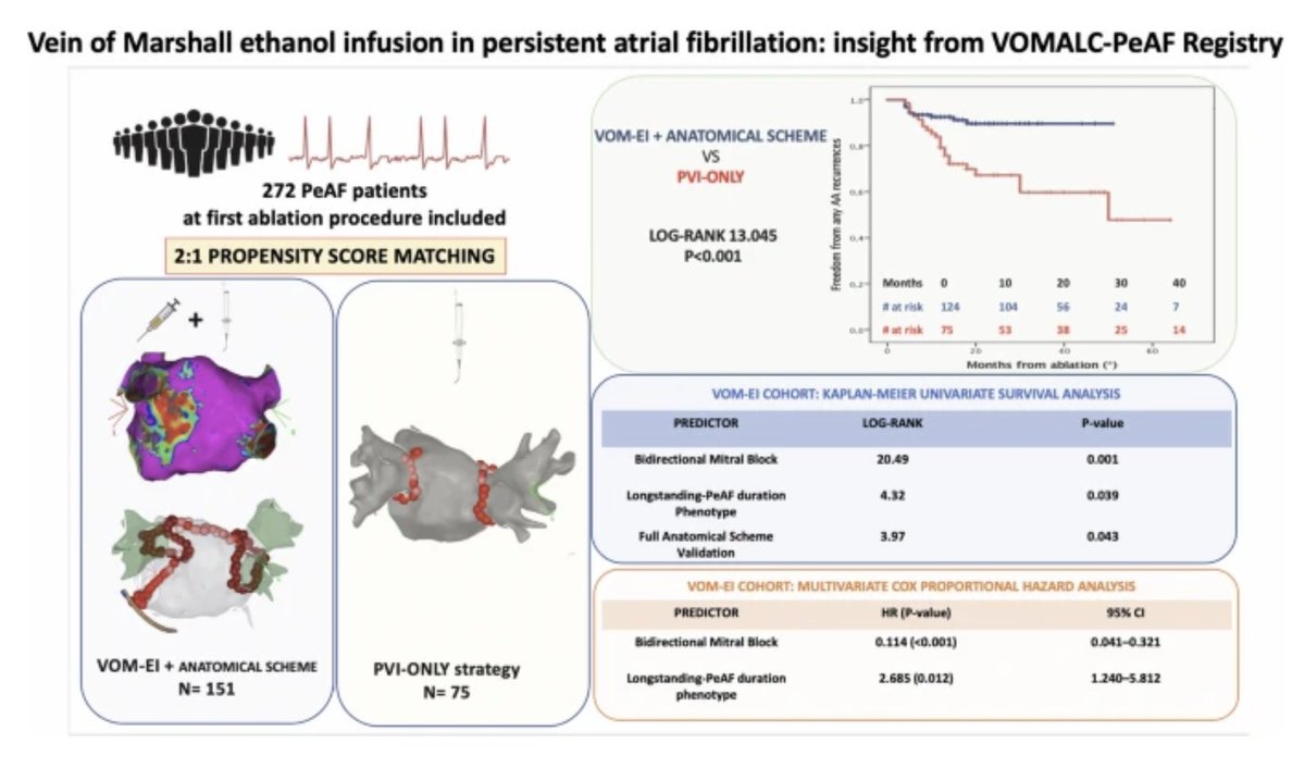 JICE_EP's tweet photo. 🚨New #FreeRead Article in
@JICE_EP

Vein of Marshall EtOH Infusion in Persistent Atrial Fibrillation: Insight from VOMALC-PeAF Registry

🧐📖https://t.co/kwOKYkNGRU

by Michele Iavarone, @andrearossi3112, Martina Nesti, Luca Panchetti, Silvia Garibaldi, Umberto Startari, @gianlucamiri, Luigi Cocchiara, Alessandro Valleggi, Francesca Gennaro, Giovanni Mazzotta, Serena Galiberti, Simone Taddeucci, Antonio Agresti, Gianluca Cortis, @FedericoLandra1, Francesco Gentile, Alberto Giannoni, Vincenzo Russo, Marcello Piacenti, Pierfrancesco Grossi & Procolo Marchese

#EPeeps