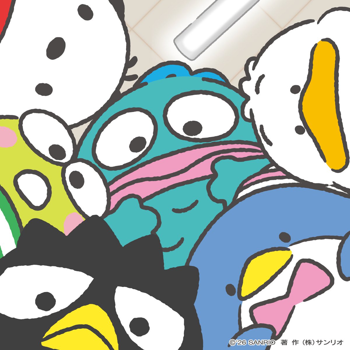 hapidanbui's tweet photo. ハンギョドン「みんな写ってる〜？」 https://t.co/LYghbQd9Mu