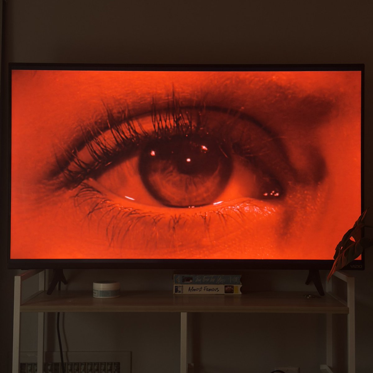masokissssed's tweet photo. Now watching #Vertigo on this gloomy Monday…

I’m also sick as a dog. https://t.co/gO48GIvmkI