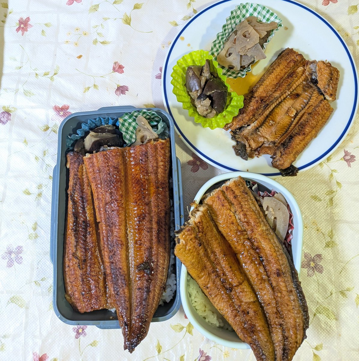 tamagoooo3's tweet photo. おはようございます(*^^*)

今日はうなぎのお弁当です。表面の保存料とか茹でてまた焼いたものです。

気をつけて行ってらっしゃい👋☺️
私もお仕事～ https://t.co/OsEd89ktQ0