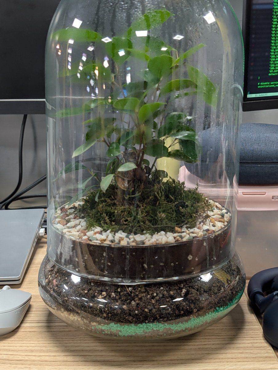 BlindPrometheus's tweet photo. به نازنین گفتم این چقدر قشنگه. گفت هدیه تولدمه، میخوای ببرش. منم گفتم باشه پس. برش داشتم آوردم خونه :)) https://t.co/2slfyoJJuP