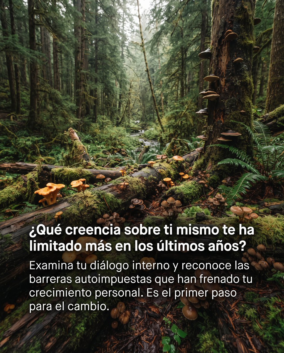 FrazeniaApp's tweet photo. #Actitud #motivacion #frases https://t.co/6ZyBHj8p99