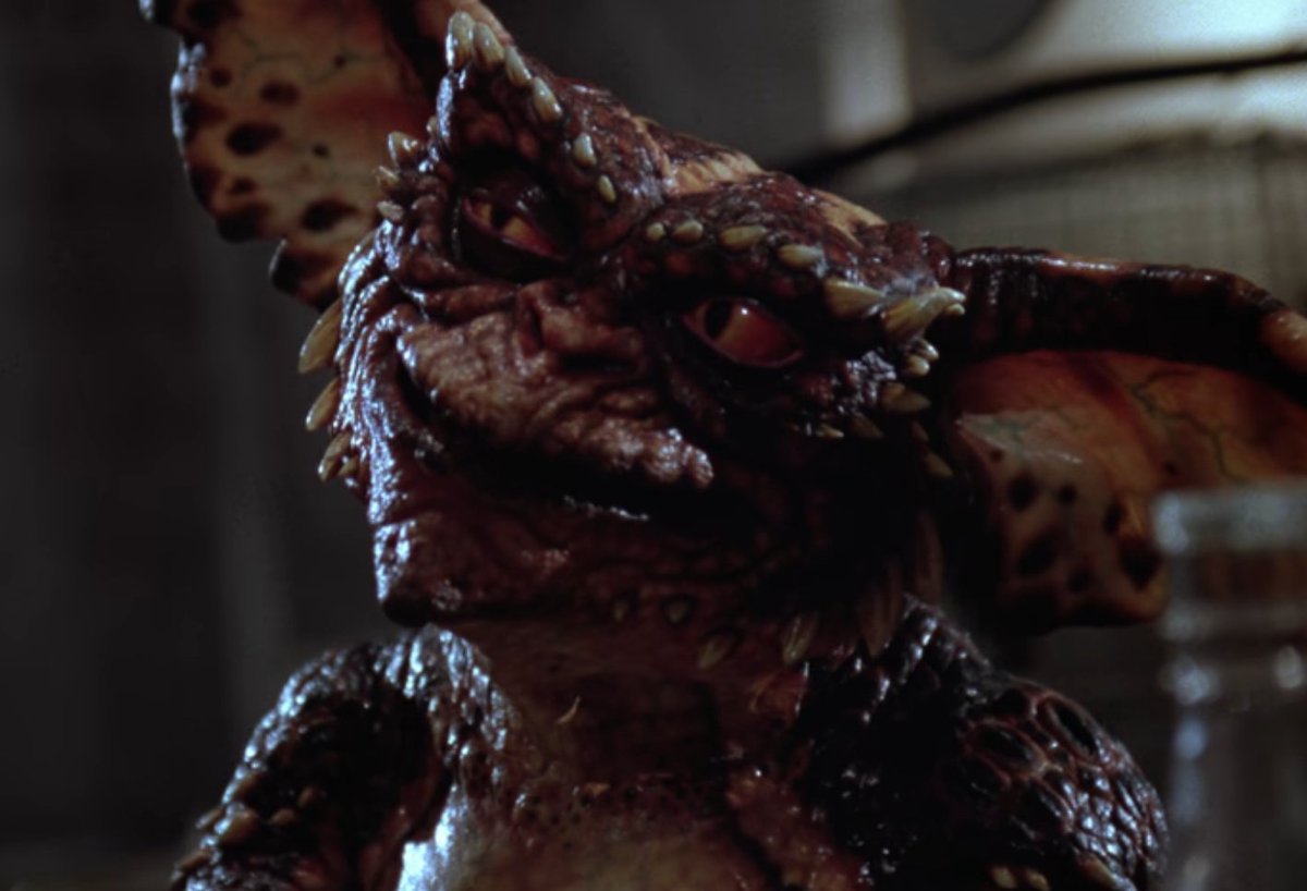 THE_Gremlins__'s tweet photo. "Eh?" https://t.co/DRZ9I70uq1