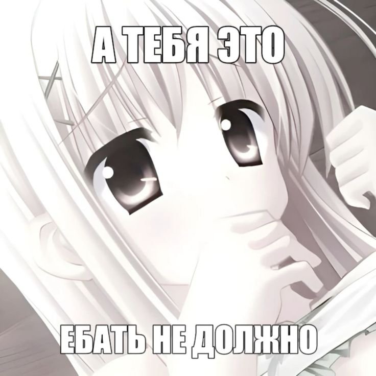 Kiri_miss_'s tweet photo. «Ты мне запрещаешь петь о любви — я буду петь о лошадях
видела Ты их глаза, без��онные, вроде Байкал?
Ты видела слёзы, застрявшие в шерсти на своих мягких щечках?
Слышишь, как дышит, когда умирают? Я тоже бы так умирал» https://t.co/NmqSlbsNJx