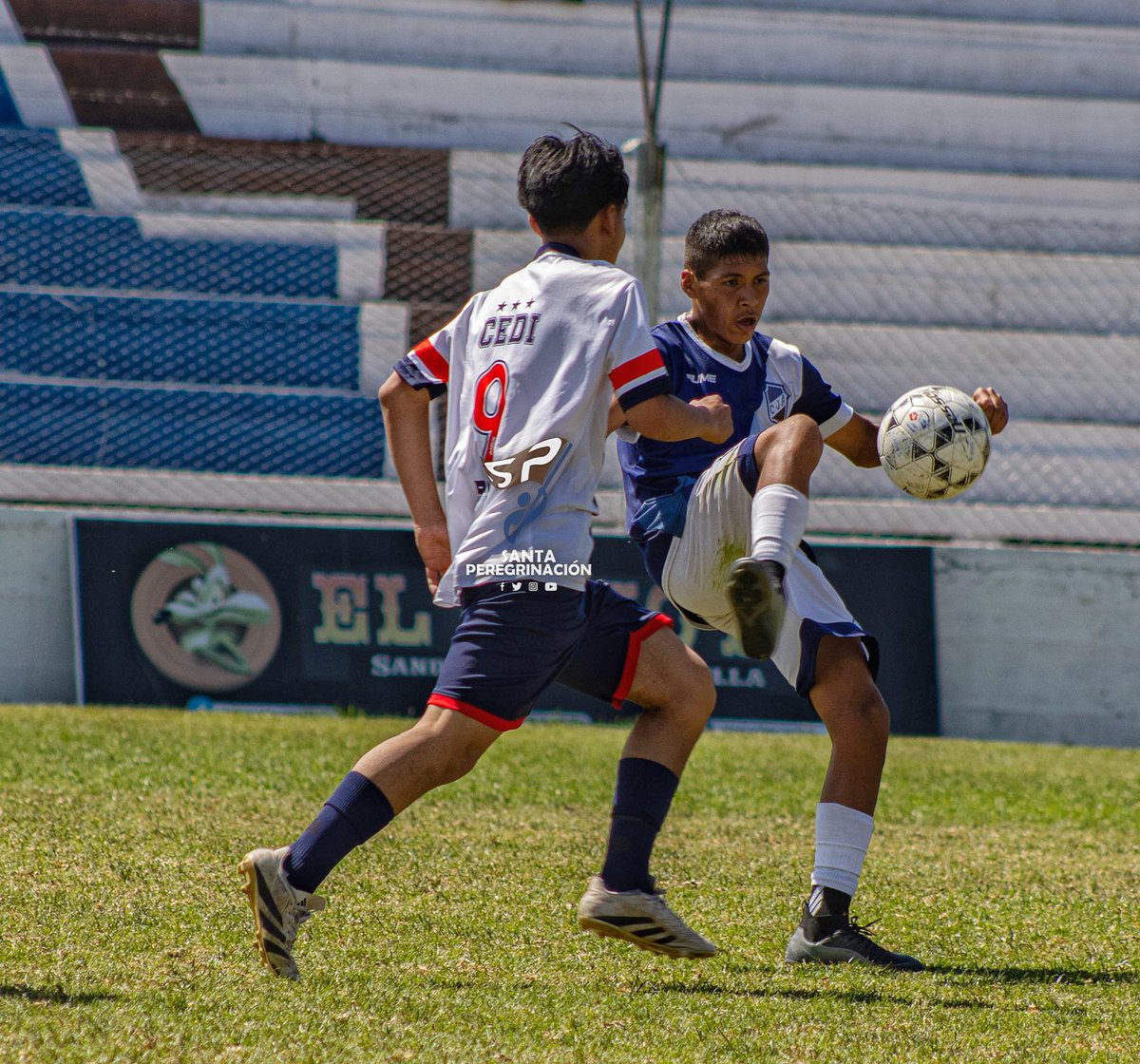 SiempreConVosJA's tweet photo. #DivisionesMenores🏆 | #CopaDeOro

[Fecha 4]

📌 5ta: #JuventudAntoniana 6 - #CEDI 2.

⚽ (Daniel Beltrán / Nahuel Burgos / Mariano Leiva x2 / Ángel Aramayo / Fabrizio Torino )

#VαɱσʂAɳƚσɳιαɳσ💪 https://t.co/bnkJDFTiW2