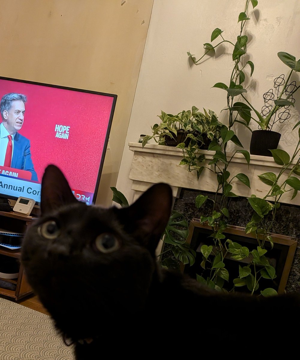 RachelgraceT's tweet photo. @Ed_Miliband 🌹 https://t.co/iDtElOA6Eo