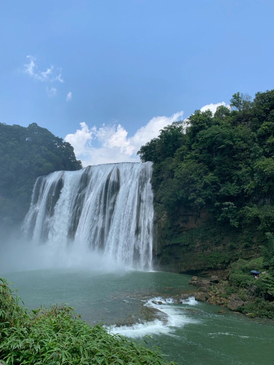 stkjame941's tweet photo. On a misty morning, I accidentally passed by the remote mountain path and found an竟玫瀑 hidden in the forest—its water falling like silk, so beautiful it took my breath away. https://t.co/ALWWuLe029