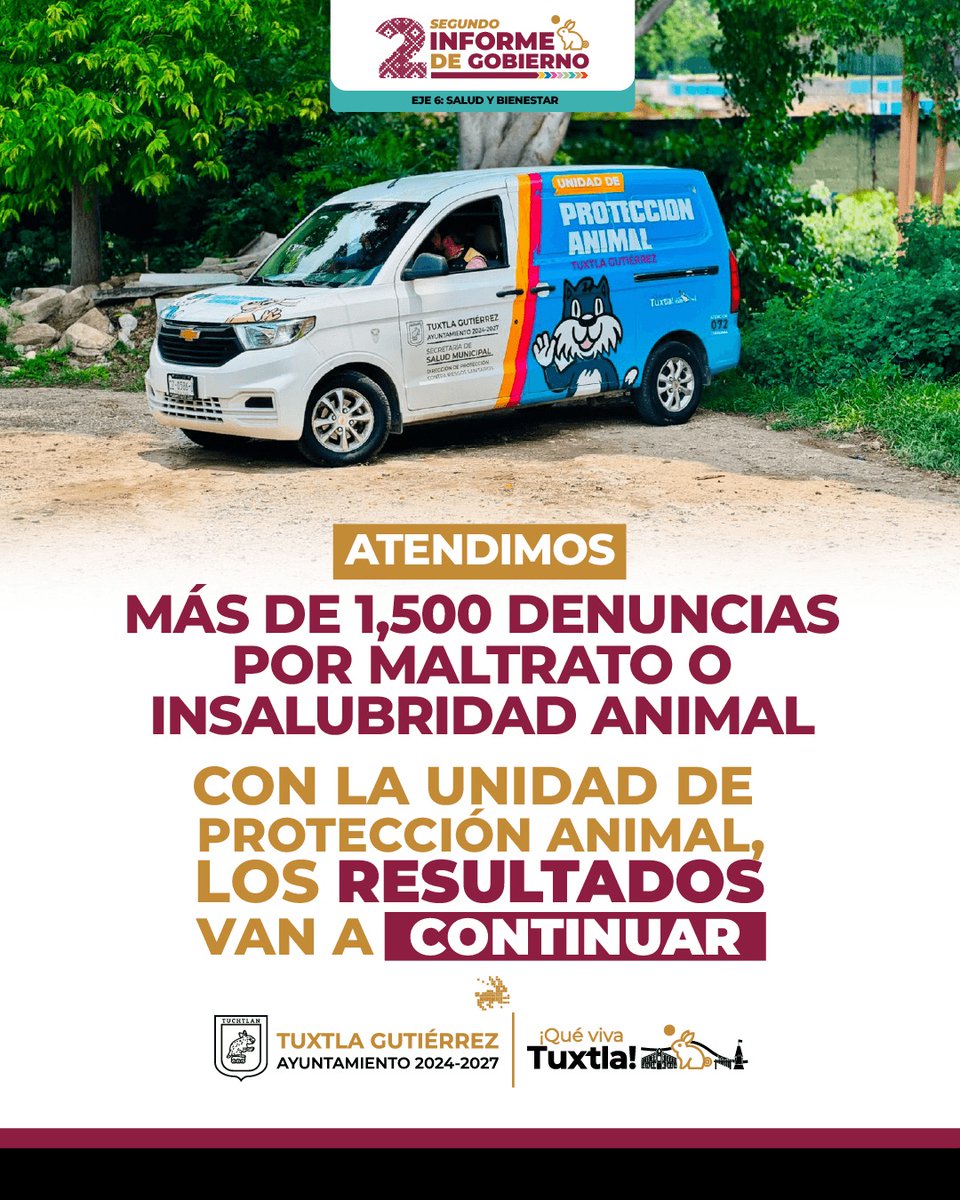 TuxtlaCapital's tweet photo. A través de la Unidad de Protección Animal, atendimos más de 1,500 denuncias por maltrato, brindando seguimiento a los reportes y fortaleciendo la atención para el bienestar de los animales. Con la Unidad de Protección Animal, los resultados van a continuar. #SegundoInforme https://t.co/ohKFXfQRYk