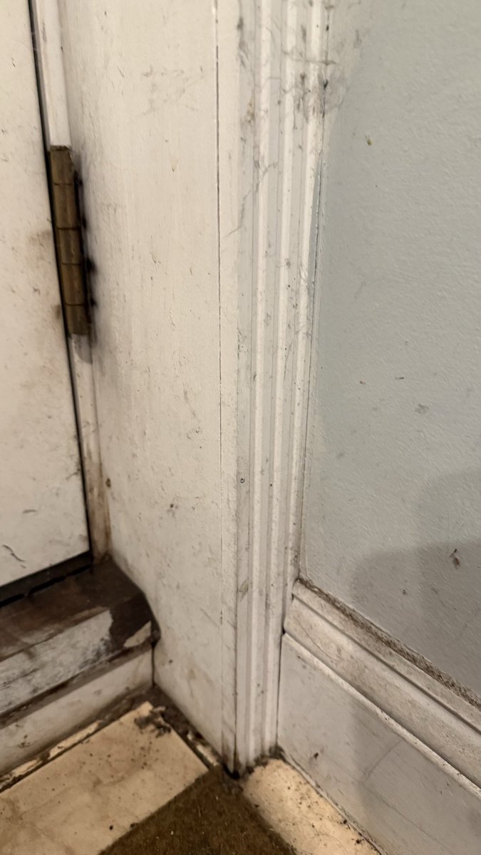 secio007's tweet photo. @Airbnb @AirbnbHelp My experience with an Airbnb in Newton, MA has been completely unacceptable. Please see the attached photos and videos showing the actual condition of the property.

Cant believe you
 even allow this to be listed. https://t.co/EwSwls948Q