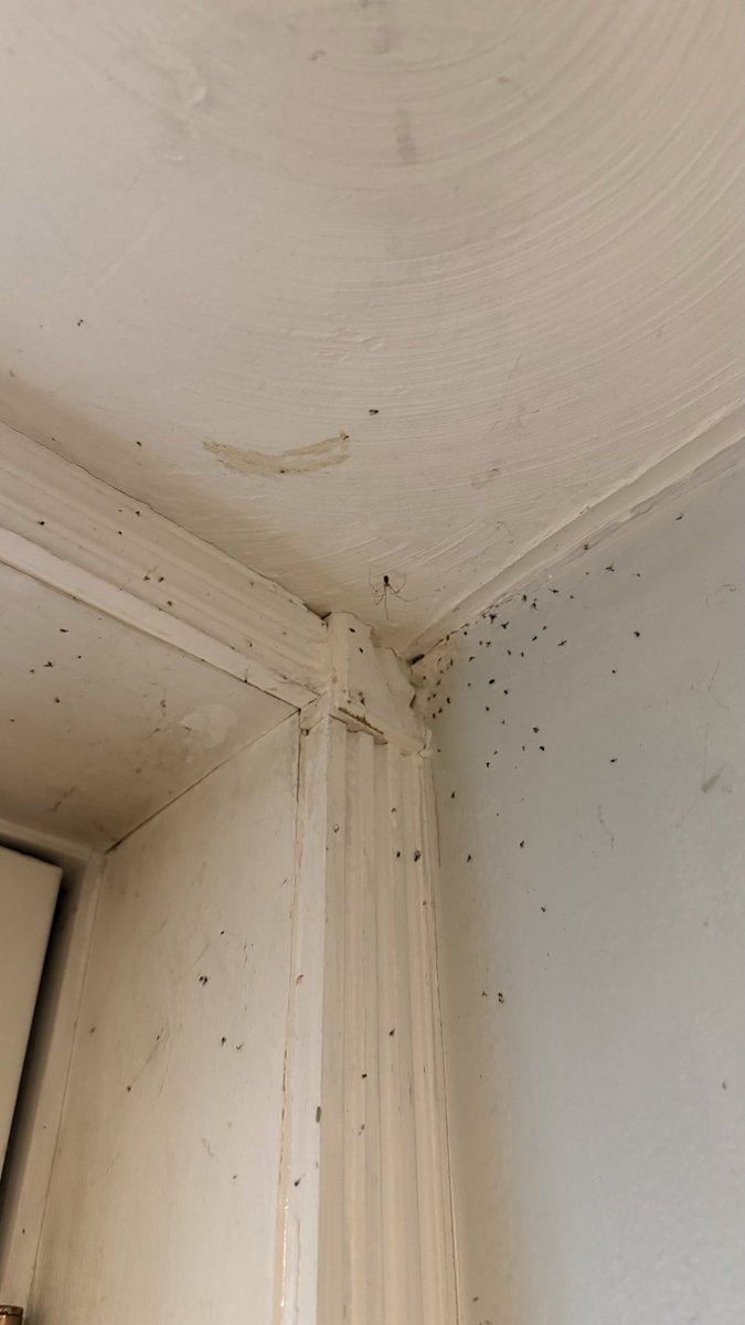 secio007's tweet photo. @Airbnb @AirbnbHelp My experience with an Airbnb in Newton, MA has been completely unacceptable. Please see the attached photos and videos showing the actual condition of the property.

Cant believe you
 even allow this to be listed. https://t.co/EwSwls948Q