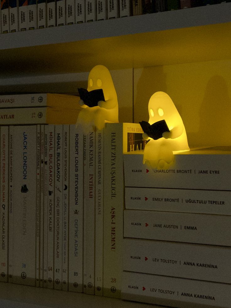 Lauofserenity's tweet photo. lamp between the books https://t.co/MwExgWog6v