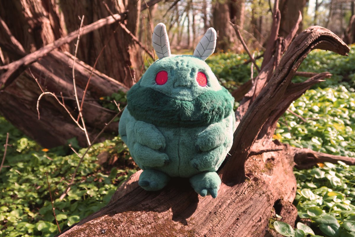 Lizard_Bitt's tweet photo. ๐ฆ CRYPTID PLUSHIES 40% OFF ๐
ALL cryptid plushies are currently 40% off! Help give these cuddly critters a home, just in time for Halloween! All other shop items are also 15% โจ
#mothman #jackalope #plush #cryptid #sale https://t.co/GyCBzXrTjE