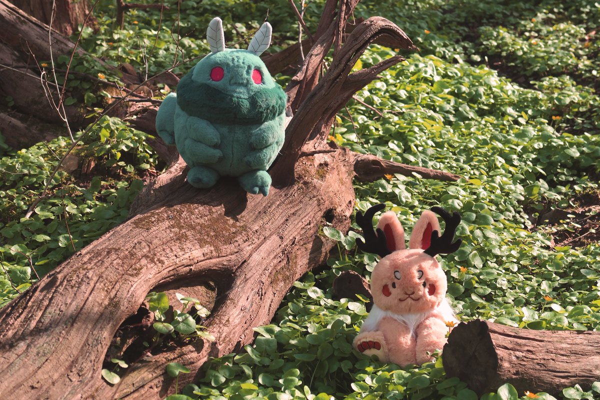 Lizard_Bitt's tweet photo. ๐ฆ CRYPTID PLUSHIES 40% OFF ๐
ALL cryptid plushies are currently 40% off! Help give these cuddly critters a home, just in time for Halloween! All other shop items are also 15% โจ
#mothman #jackalope #plush #cryptid #sale https://t.co/GyCBzXrTjE