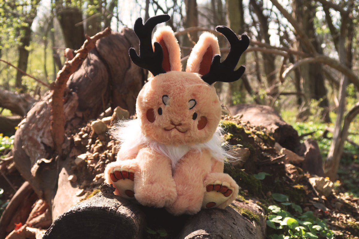 Lizard_Bitt's tweet photo. ๐ฆ CRYPTID PLUSHIES 40% OFF ๐
ALL cryptid plushies are currently 40% off! Help give these cuddly critters a home, just in time for Halloween! All other shop items are also 15% โจ
#mothman #jackalope #plush #cryptid #sale https://t.co/GyCBzXrTjE