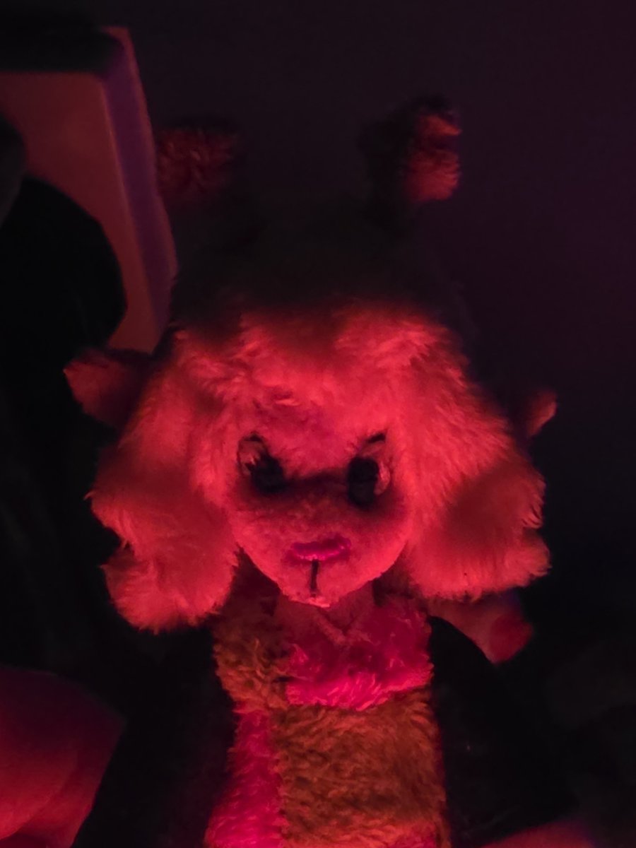 Sophie_bird30's tweet photo. A portable Noelle for every occasion!
#deltaruneㅤㅤㅤ https://t.co/YFxPqueynC