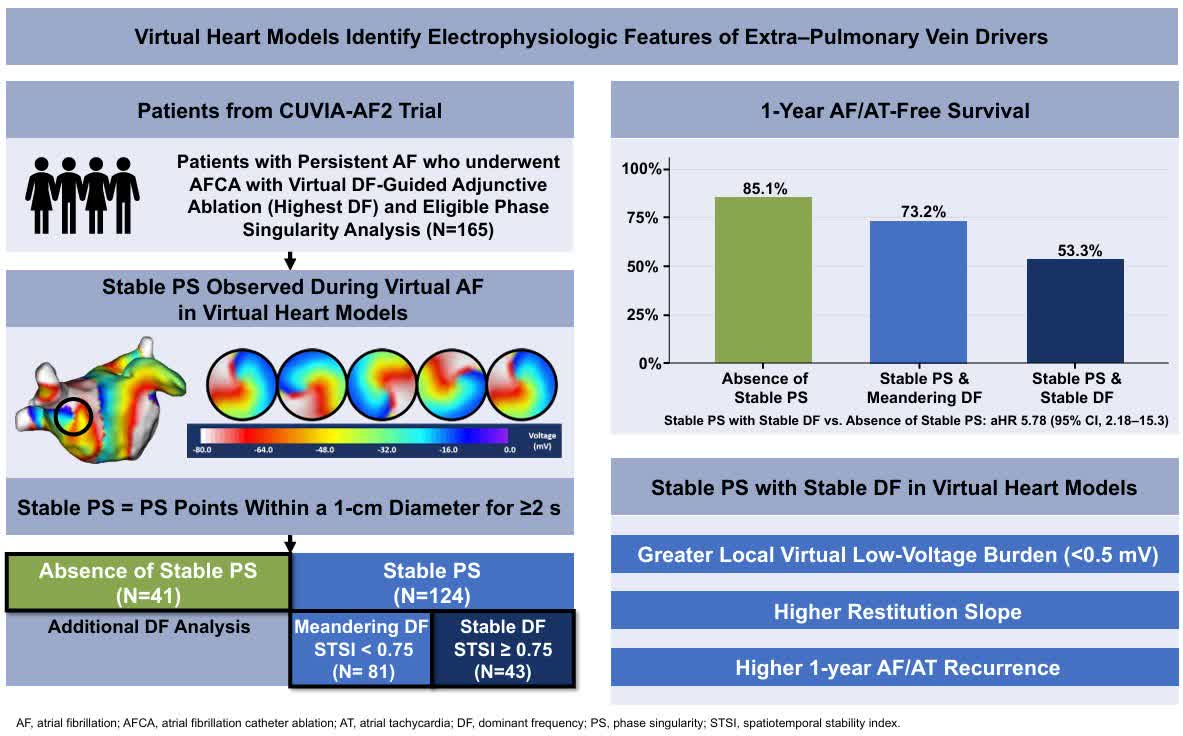CirculationEP's tweet photo. Virtual heart models linked stable PS with stable DF to greater low-voltage burden, steeper restitution, and higher 1-year recurrence after ablation #Epeeps https://t.co/EYbTDSlnzx https://t.co/Oc43vkrMYF