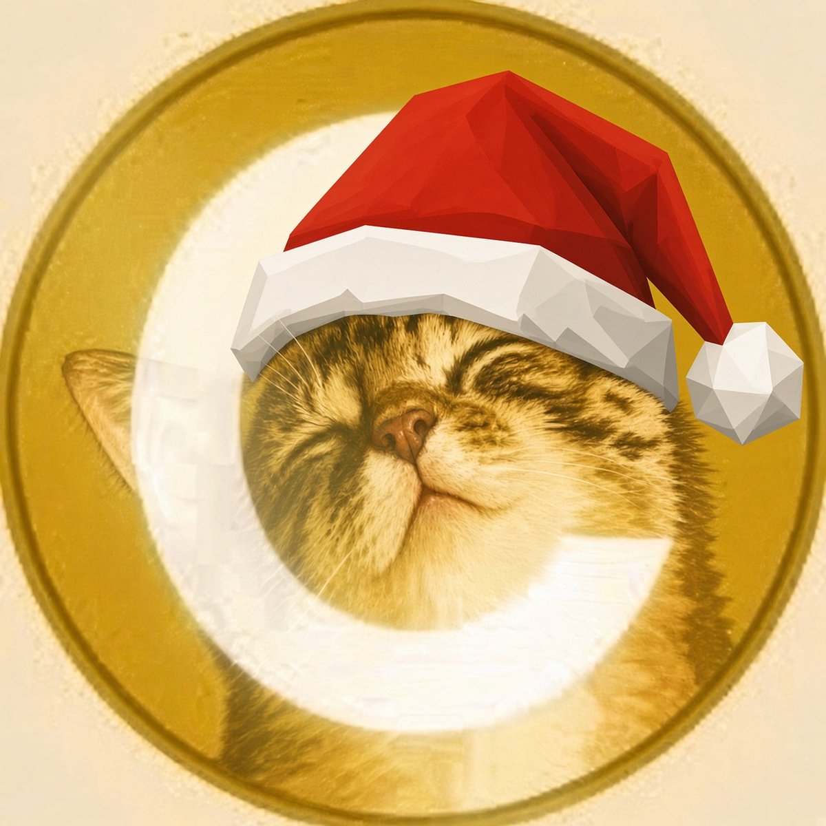 catemascoin's tweet photo. its beginning to look alot like $CATEMAS
over 100 active holders on @fomo https://t.co/14WwDDUAfS