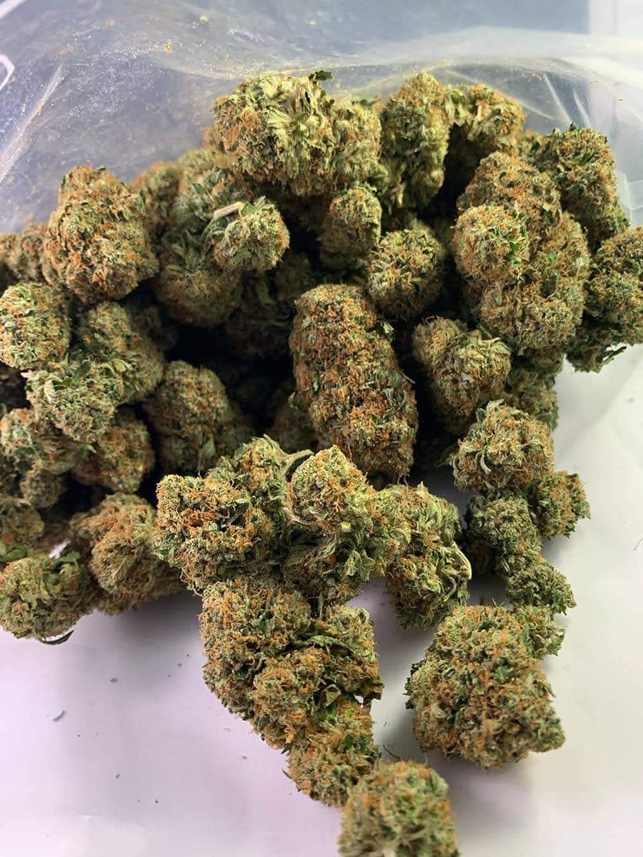 Maui_exotics's tweet photo. Some things just hit different when they're this fresh 🌿 

#Cannabis #Nugs #BudPorn #StashPic #Trichomes https://t.co/lPqA9kay1W