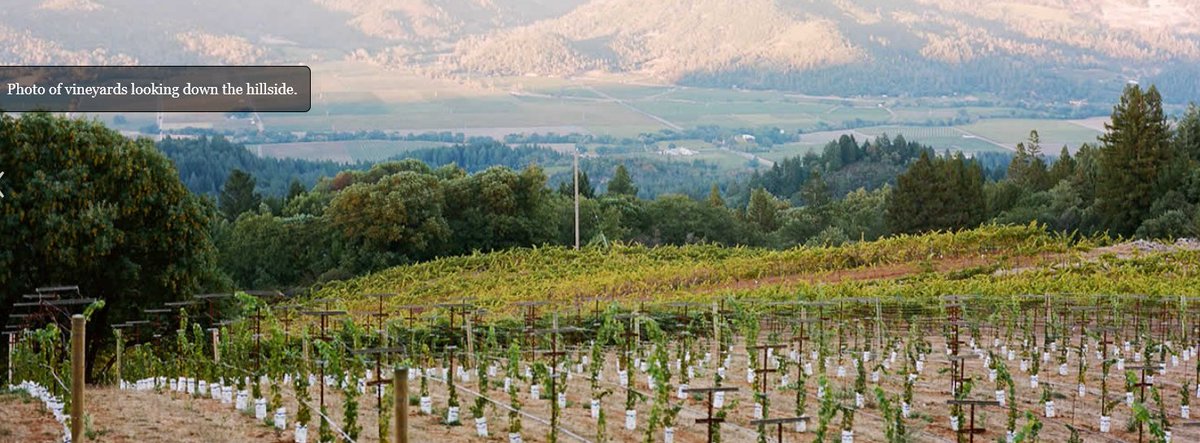 RichCookOnWine's tweet photo. If you are ever in Napa Valley I encourage you to visit Smith-Madrone Vineyards &amp; Winery.  Info for making reservation to visit is at https://t.co/xubwC1IMjd. https://t.co/eYEqQbI65i
