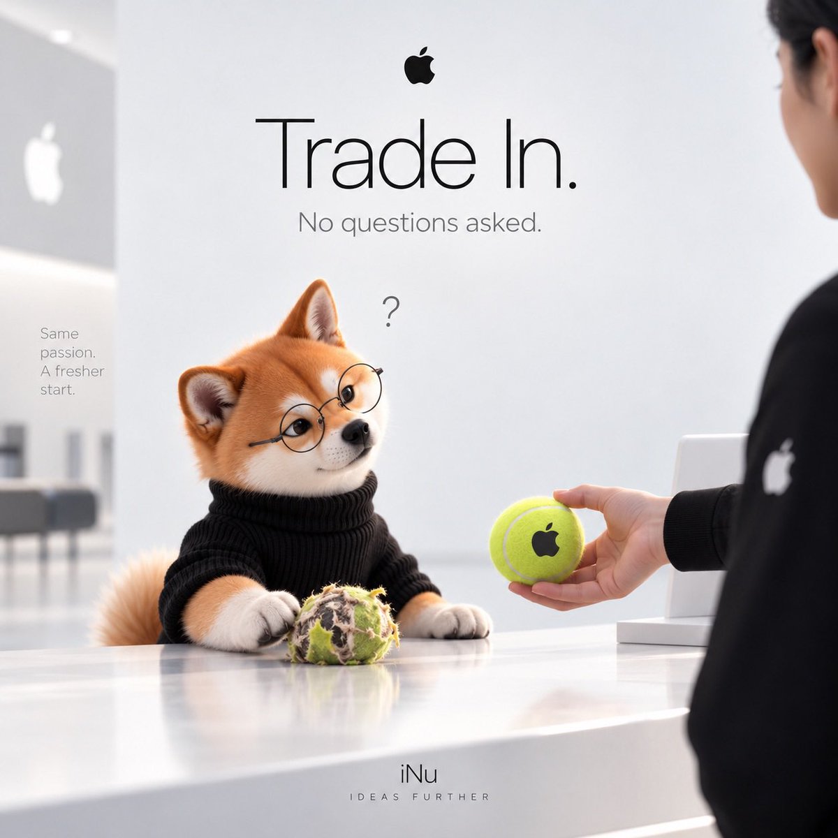 iNuApple's tweet photo. No questions asked. 

iNu. https://t.co/qCbR5wDowU
