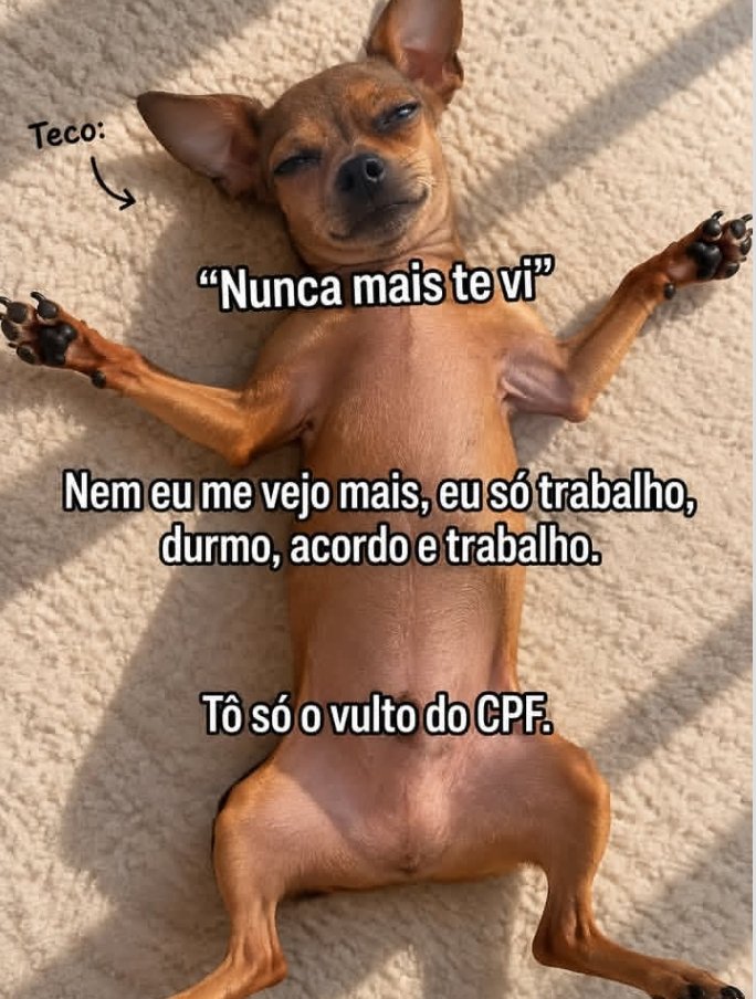 sobreteucaos tweet picture