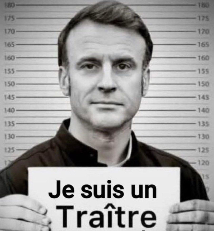 DanynoCollove's tweet photo. @EmmanuelMacron @AdresanSoso On s'en bat les c0uilles de ta put€ nazie ukrainienne, droguée, corrompue, trafiquant d'êtres humains @ZelenskyyUa https://t.co/7M4F7Dr1Pp