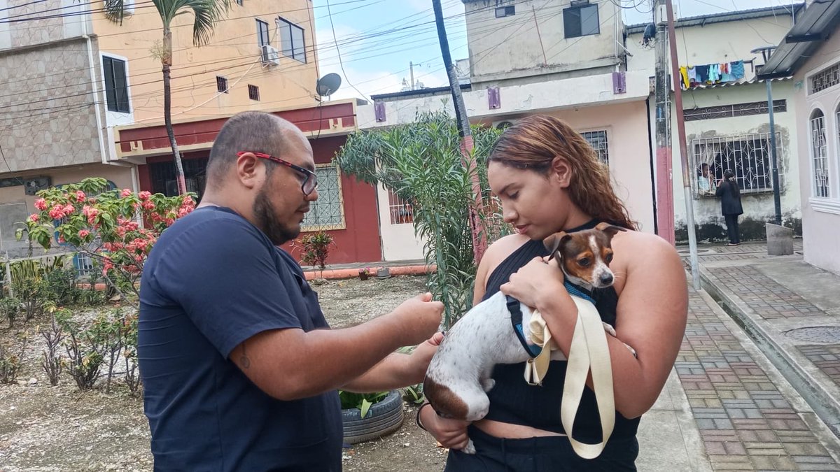 aquilesenlacomu's tweet photo. 🐾💙 ¡Cuidamos a nuestros animales y acompañamos a sus familias!

El Municipio de Guayaquil, a través de la Dirección General de Vinculación con la Comunidad, junto a la Dirección de Protección de los Derechos de los Animales, llevó una brigada veterinaria gratuita a Sauces 6. 🐶🐱

🩺 Durante la jornada, 60 animales de compañía recibieron atención veterinaria, acercando servicios y promoviendo el cuidado responsable directamente en el sector.

🤝 Estas acciones nos permiten estar más cerca de nuestros vecinos y fortalecer una cultura de bienestar y protección para nuestros animales de compañía.

💙 Seguimos recorriendo Guayaquil y llevando servicios a cada comunidad.

#GuayaquilNoSeDetiene #AquiEstamos #AquilesCumplimos #ObraDeAquiles